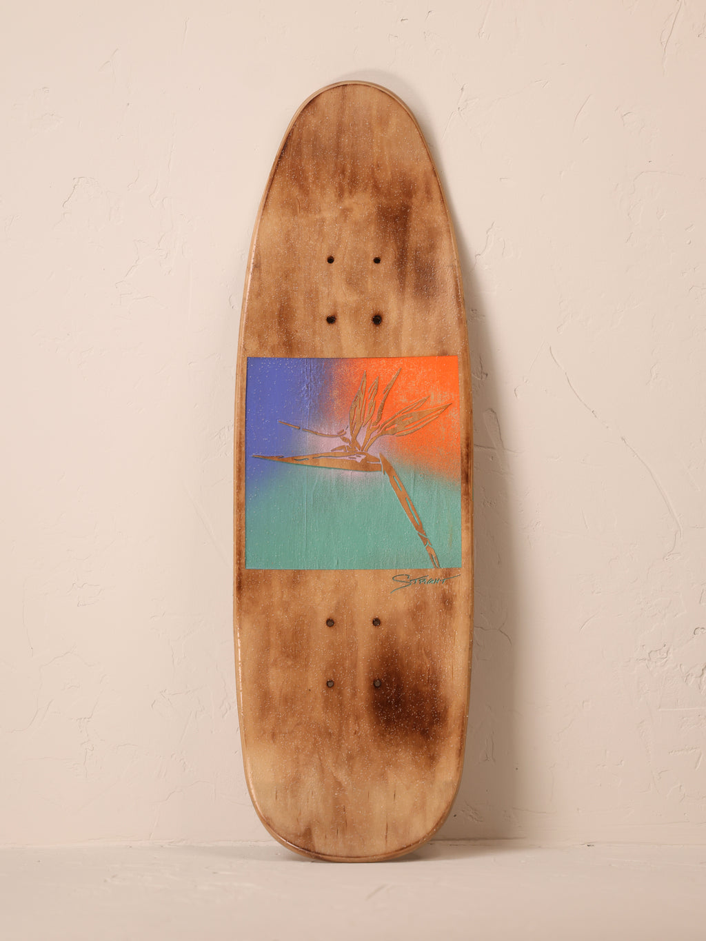 B.O.P. Crop Top | Bird of Paradise | Street Cruiser Deck Only