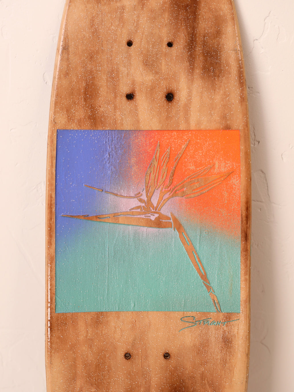 B.O.P. Crop Top | Bird of Paradise | Street Cruiser Deck Only